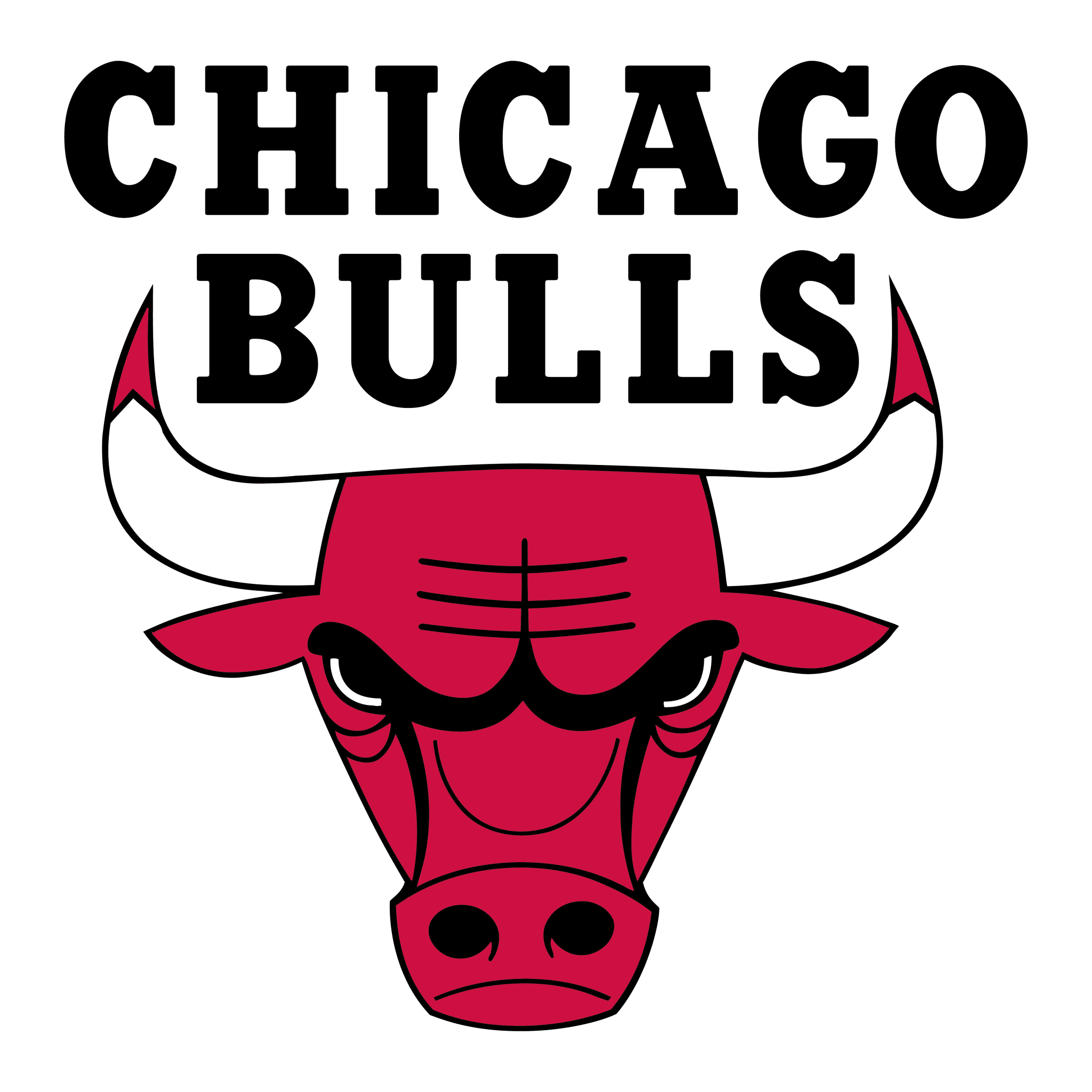 Chicago Bulls - BROdenim