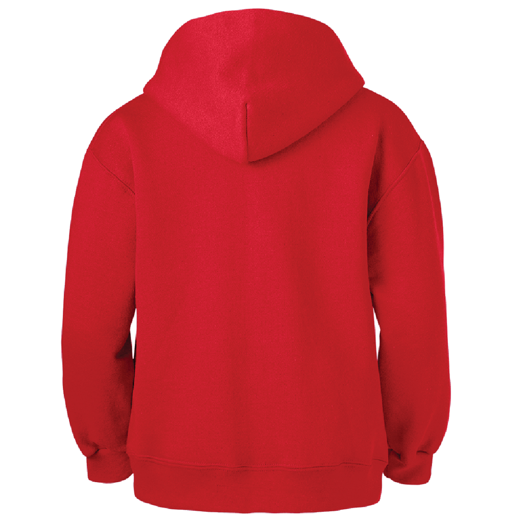 Detroit Pistons Hoodie