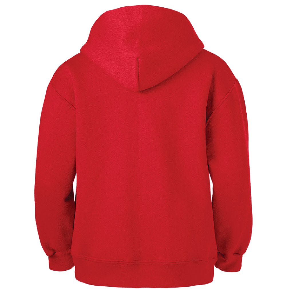 Detroit Pistons Hoodie - BROdenim