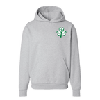 St. Patrick's Day Boston Hoodie - BROdenim